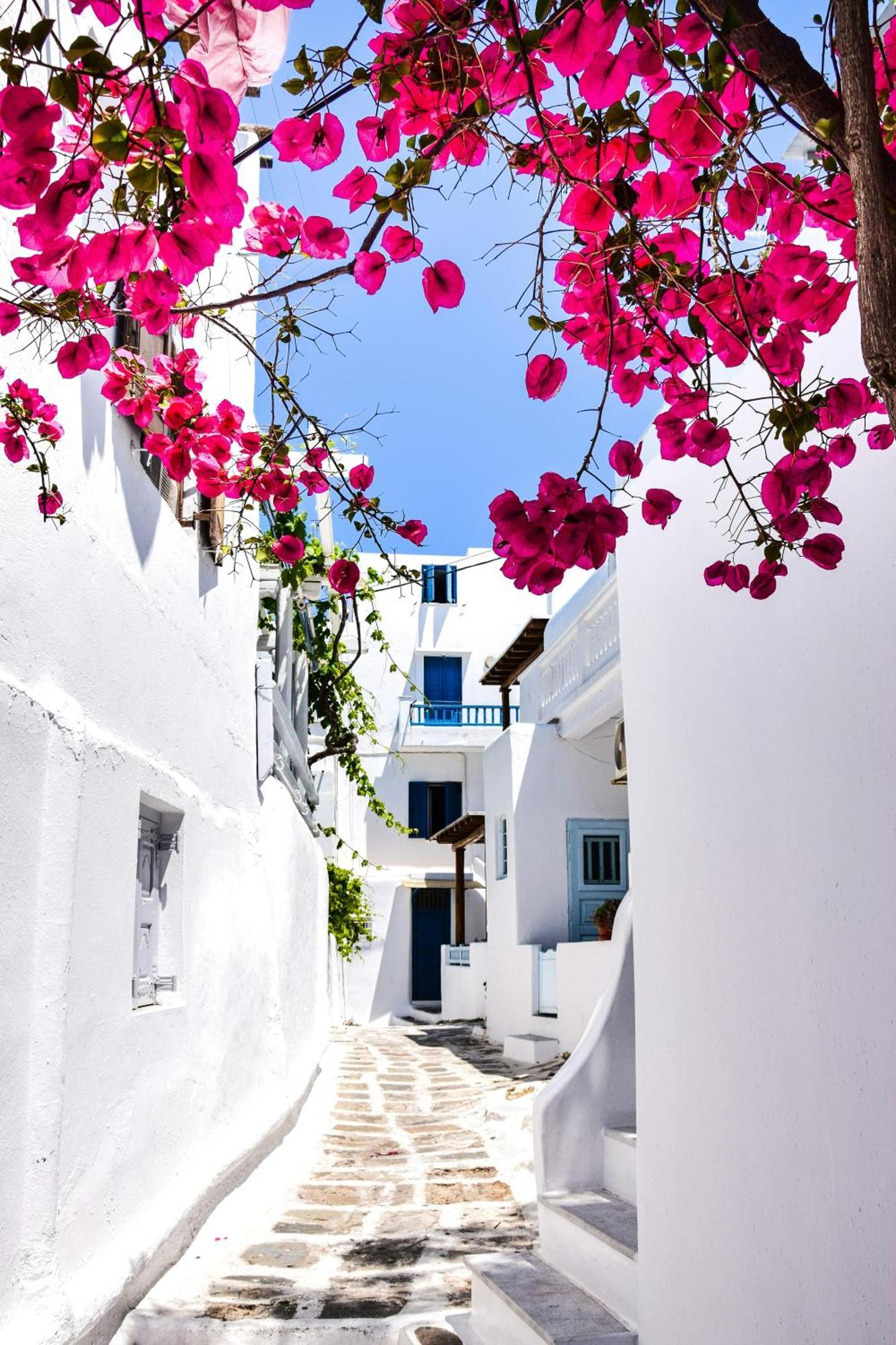 Aniko Suites White Alley Mykonos Town Dış mekan fotoğraf